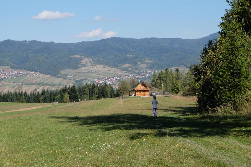 Villa Domek Na Jagodowym Wzgorzu à Falsztyn Extérieur photo